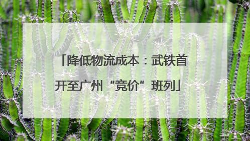 降低物流成本：武铁首开至广州“竞价”班列