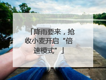 降雨要来，抢收小麦开启“倍速模式”