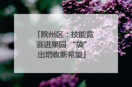 陕州区：技能竞赛进果园 “袋”出增收新希望