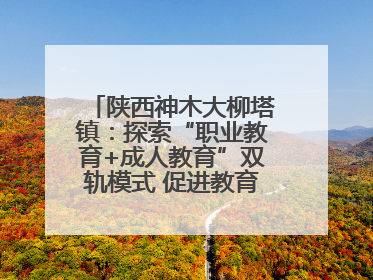 陕西神木大柳塔镇：探索“职业教育+成人教育”双轨模式 促进教育融合发展