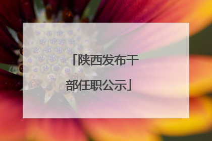 陕西发布干部任职公示