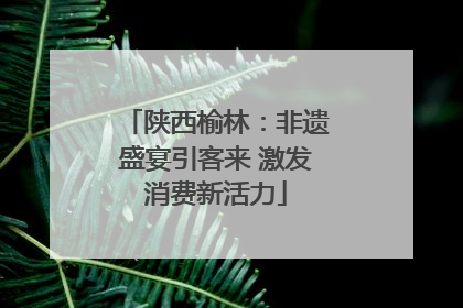 陕西榆林：非遗盛宴引客来 激发消费新活力