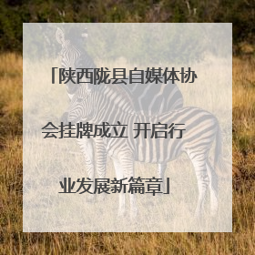 陕西陇县自媒体协会挂牌成立 开启行业发展新篇章