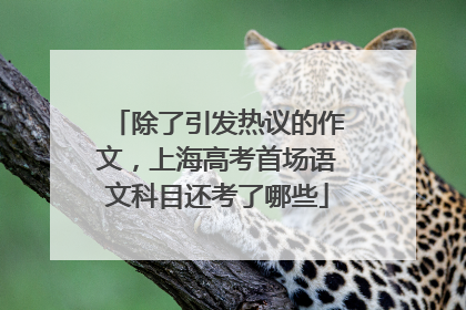 除了引发热议的作文，上海高考首场语文科目还考了哪些