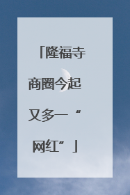 隆福寺商圈今起又多一“网红”