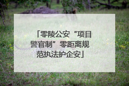 零陵公安“项目警官制”零距离规范执法护企安