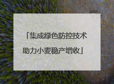 集成绿色防控技术助力小麦稳产增收