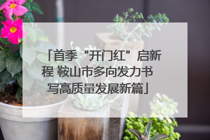 首季“开门红”启新程 鞍山市多向发力书写高质量发展新篇