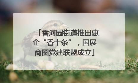 香河园街道推出惠企“香十条”，国展商圈党建联盟成立
