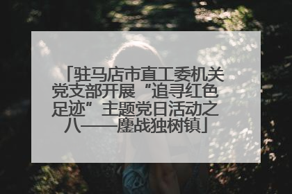 驻马店市直工委机关党支部开展“追寻红色足迹”主题党日活动之八——鏖战独树镇
