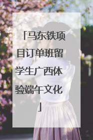 马东铁项目订单班留学生广西体验端午文化