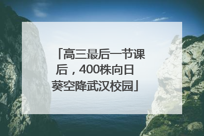 高三最后一节课后，400株向日葵空降武汉校园