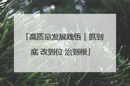 高质量发展践悟｜抓到底 改到位 治到根