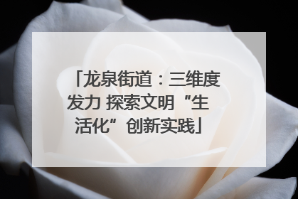 龙泉街道：三维度发力 探索文明“生活化”创新实践