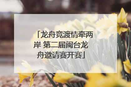 龙舟竞渡情牵两岸 第二届闽台龙舟邀请赛开赛