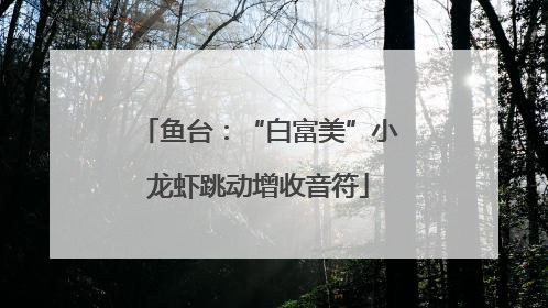 鱼台：“白富美”小龙虾跳动增收音符