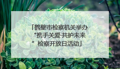 鹤壁市检察机关举办“携手关爱·共护未来”检察开放日活动