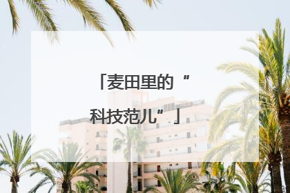 麦田里的“科技范儿”