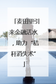 麦田里引来金融活水，助力“秸秆消失术”