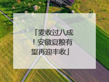 麦收过八成！安徽夏粮有望再迎丰收