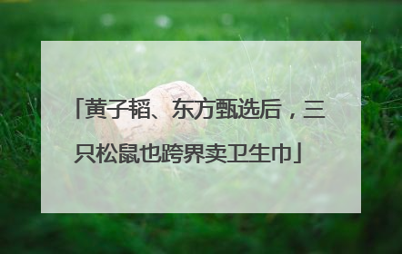 黄子韬、东方甄选后，三只松鼠也跨界卖卫生巾