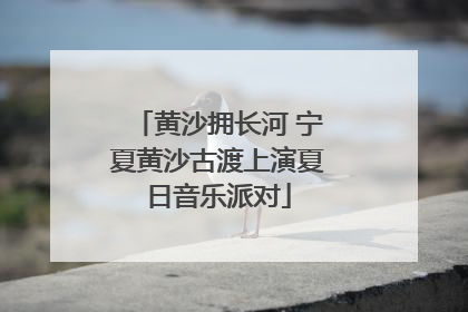 黄沙拥长河 宁夏黄沙古渡上演夏日音乐派对