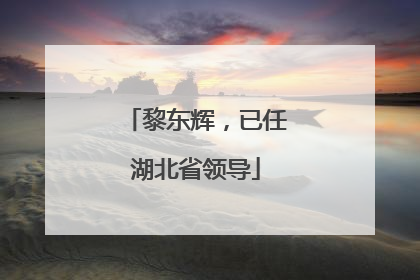 黎东辉，已任湖北省领导