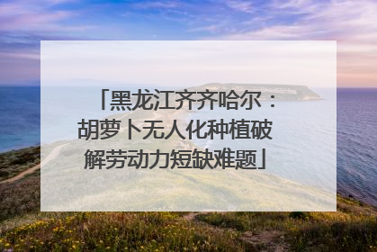 黑龙江齐齐哈尔：胡萝卜无人化种植破解劳动力短缺难题