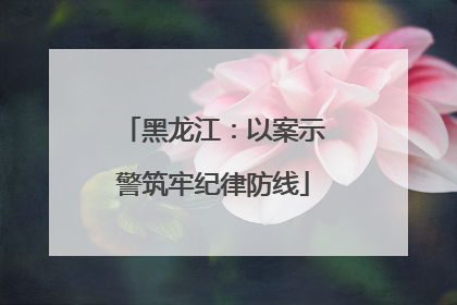 黑龙江：以案示警筑牢纪律防线