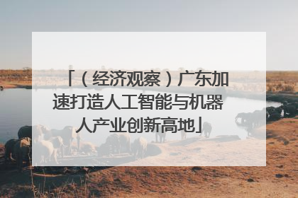 （经济观察）广东加速打造人工智能与机器人产业创新高地