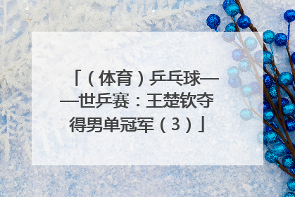 （体育）乒乓球——世乒赛：王楚钦夺得男单冠军（3）