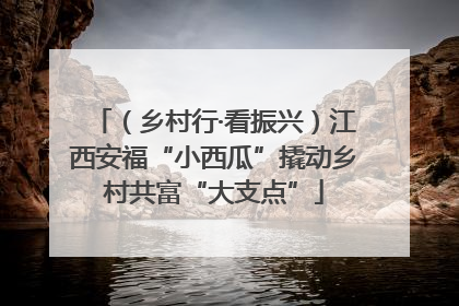（乡村行·看振兴）江西安福“小西瓜”撬动乡村共富“大支点”