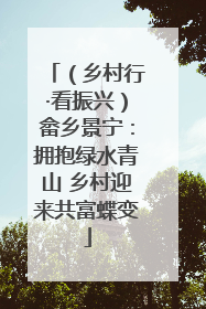 （乡村行·看振兴）畲乡景宁：拥抱绿水青山 乡村迎来共富蝶变