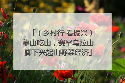 （乡村行·看振兴）靠山吃山，赛罕乌拉山脚下兴起山野菜经济