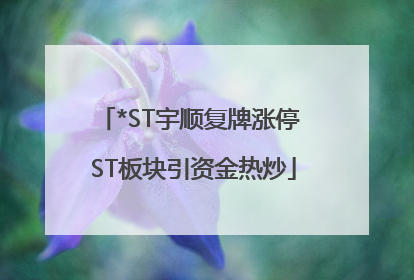 *ST宇顺复牌涨停 ST板块引资金热炒