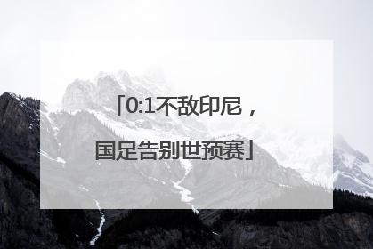 0:1不敌印尼，国足告别世预赛