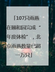 107只雨燕在颐和园完成“年度体检”，北京雨燕数量已超一万只