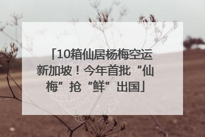 10箱仙居杨梅空运新加坡！今年首批“仙梅”抢“鲜”出国