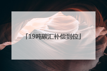 19吨碳汇补偿到位