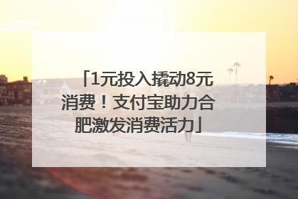 1元投入撬动8元消费！支付宝助力合肥激发消费活力