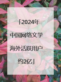 2024年中国网络文学海外活跃用户约2亿