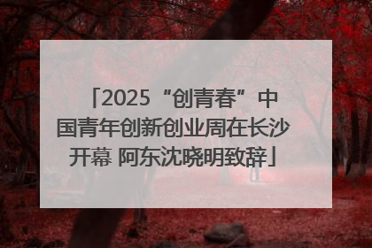 2025“创青春”中国青年创新创业周在长沙开幕 阿东沈晓明致辞