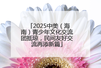 2025中美（海南）青少年文化交流团抵琼，民间友好交流再添新篇