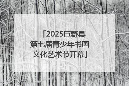2025巨野县第七届青少年书画文化艺术节开幕