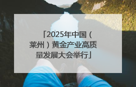 2025年中国（莱州）黄金产业高质量发展大会举行
