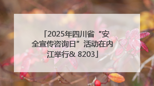 2025年四川省“安全宣传咨询日”活动在内江举行& 8203