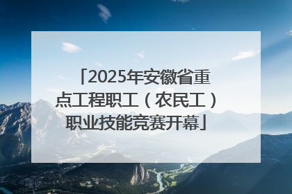 2025年安徽省重点工程职工（农民工）职业技能竞赛开幕