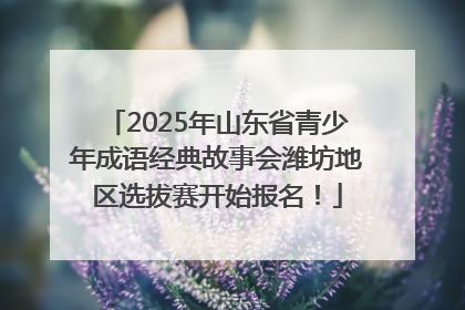 2025年山东省青少年成语经典故事会潍坊地区选拔赛开始报名！