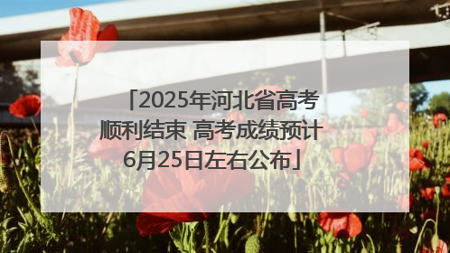 2025年河北省高考顺利结束 高考成绩预计6月25日左右公布