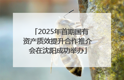 2025年首期国有资产质效提升合作推介会在沈阳成功举办